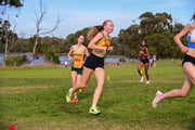 1_TIM_8391