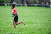 TIM_2597 TIM_2597