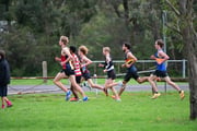 TIM_3823 TIM_3823