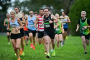 TIM_0493 TIM_0493