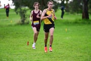 TIM_3959 TIM_3959