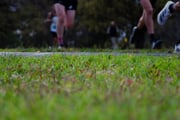 Jells-Park-Relays-2025-Second-Camera-5798