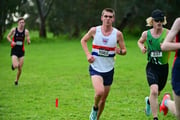 TIM_3900 TIM_3900