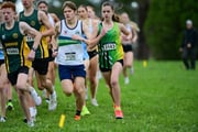 TIM_0444 TIM_0444