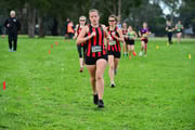 TIM_1920 TIM_1920