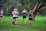 TIM_0285