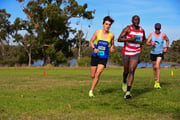 1_TIM_8545 1_TIM_8545