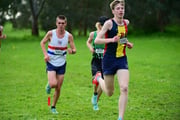 TIM_3897 TIM_3897
