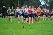 TIM_1811 TIM_1811