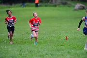 TIM_3069 TIM_3069