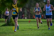 TIM_0509
