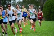 TIM_0416 TIM_0416