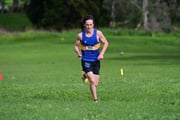 TIM_4181