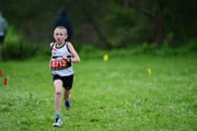 TIM_3236 TIM_3236