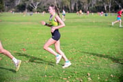 1_TIM_9617