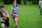 TIM_3517 TIM_3517