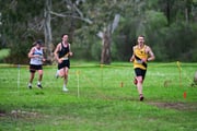 TIM_0323