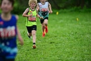 TIM_3357 TIM_3357