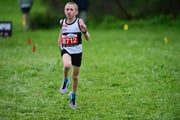 TIM_3239 TIM_3239