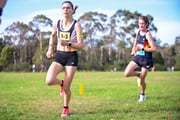 TIM_9362 TIM_9362