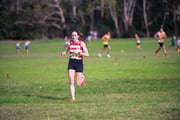1_TIM_9520