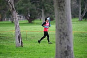 TIM_1774 TIM_1774