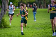 1_TIM_7647