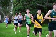 TIM_0625 TIM_0625