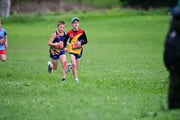TIM_3612 TIM_3612
