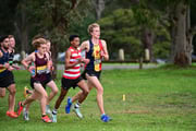 TIM_3828 TIM_3828