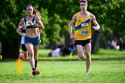 1_TIM_9955