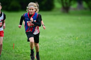 TIM_3593 TIM_3593