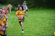 TIM_3308 TIM_3308