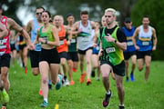 TIM_0504 TIM_0504