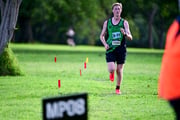 TIM_0341