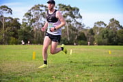 1_TIM_9446