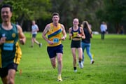 1_TIM_7635