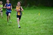 TIM_3343 TIM_3343