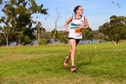 1_TIM_8566 1_TIM_8566