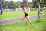 1_TIM_8694