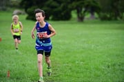 TIM_3553 TIM_3553