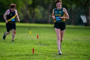 TIM_0190
