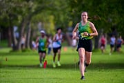 TIM_0097