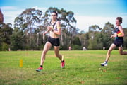 1_TIM_9358 1_TIM_9358