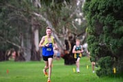TIM_0655 TIM_0655