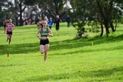 TIM_9770 TIM_9770