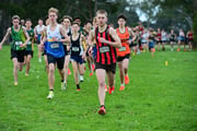 TIM_1832 TIM_1832