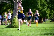 TIM_6951