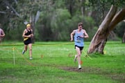 TIM_0279