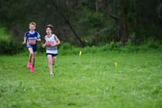 TIM_3250 TIM_3250